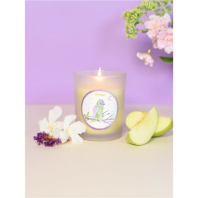 Bougie Totem La Chouette