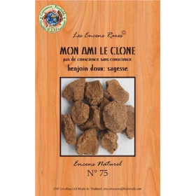 Encens Mon ami le clone 25 g