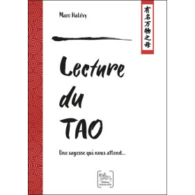 Lecture du Tao - Une sagesse qui nous attend...