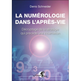 La numérologie dans l'après-vie - Décryptage de la stratégie qui précède une incarnation