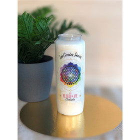 Neuvaine des Cercles sacrés : La Fleur de vie