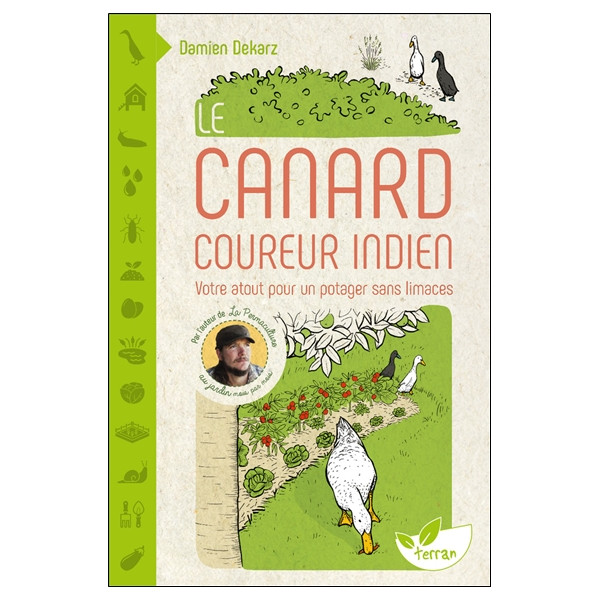 Le Canard coureur indien - Votre atout pour un potager sans limaces
