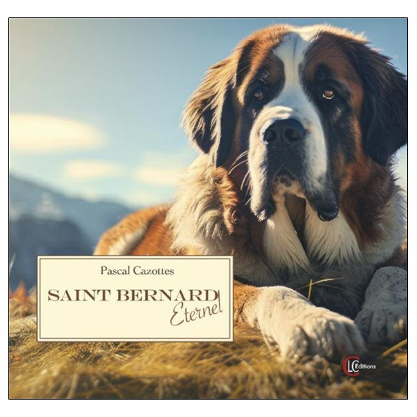 Saint Bernard éternel