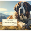 Saint Bernard éternel