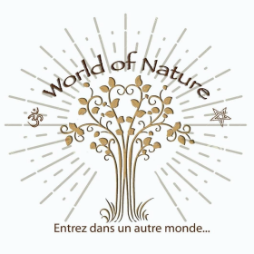 Le grand livre du Chamanisme - Origines, rites et coutumes