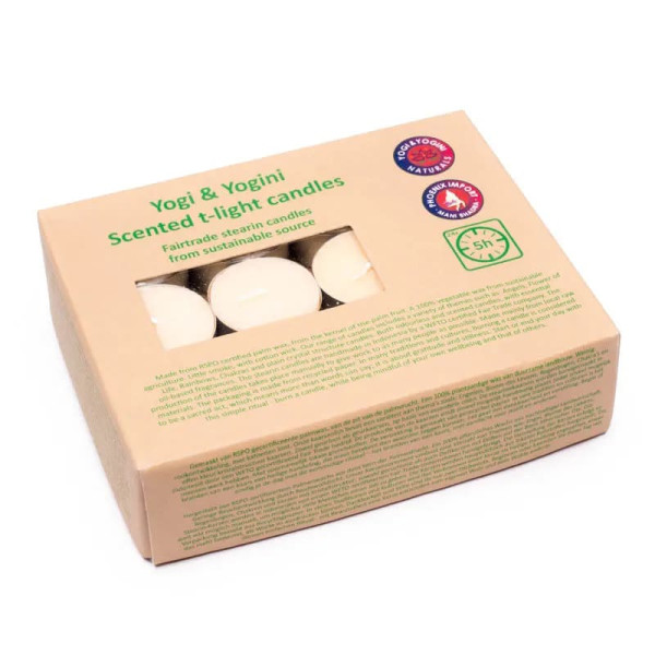 Bougies chauffe plat Fleur de vie Jasmin -- 4x2 cm