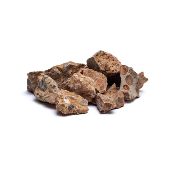 Léopardite brute -- ±3-8cm； ±1000g