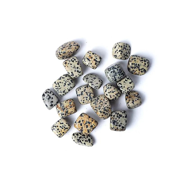 Jaspe dalmatien pierres polies qualité A -- ±1,5-3,5cm ； ±250g