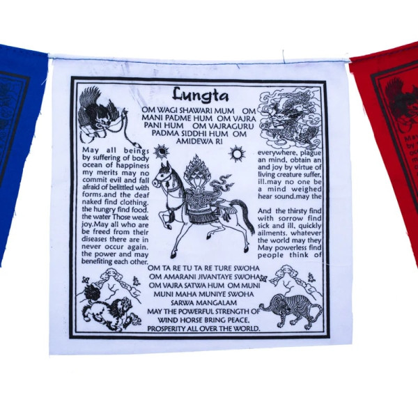 Drapeaux de prière tibétains Lungta -- 20x20x210cm