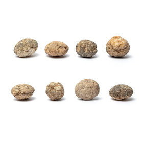 Géode de calcite (intacte) 10-12 pcs -- ±50-100g p/kg