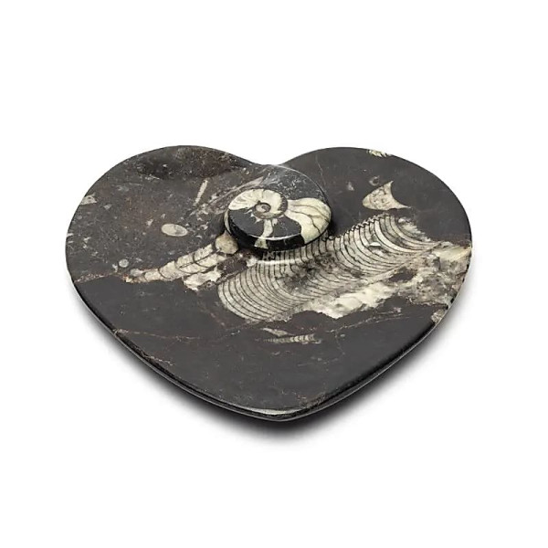 Plaque en marbre en forme de cœur avec fossiles -- ±14x14x2,5cm； ±450g