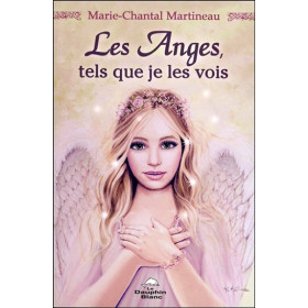 Les Anges, tels que je les vois