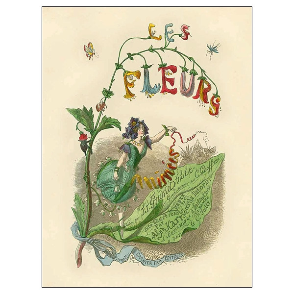 Les fleurs animées