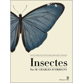 Les planches du Dictionnaire d'Histoire Naturelle - Coffret 5 vol.