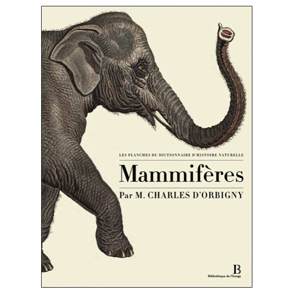 Les planches du Dictionnaire d'Histoire Naturelle - Coffret 5 vol.