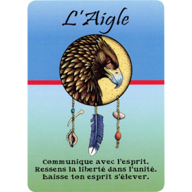 Cartes Médecine Pensées quotidiennes