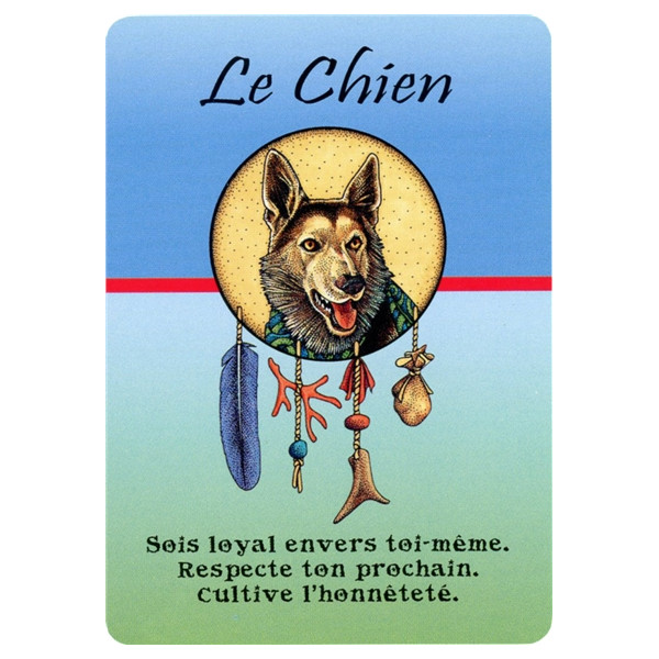 Cartes Médecine Pensées quotidiennes