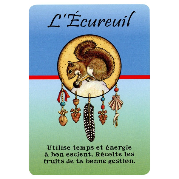 Cartes Médecine Pensées quotidiennes