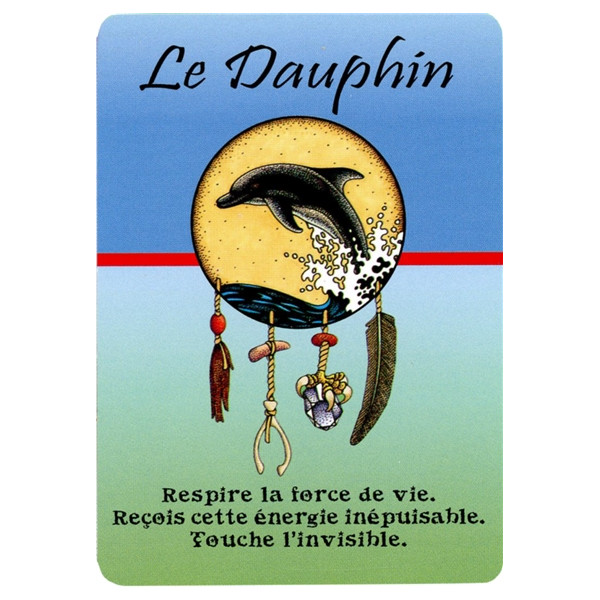 Cartes Médecine Pensées quotidiennes