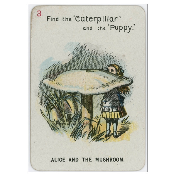 Le Coffret d'Alice - Alice's box