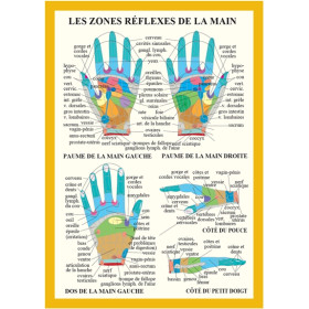 Planche Zones réflexes de la main - A4