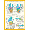 Planche Zones réflexes de la main - A4