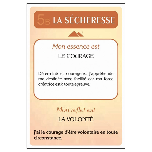 La clé de votre destinée enfin révélée par le reflet de votre essence - coffret