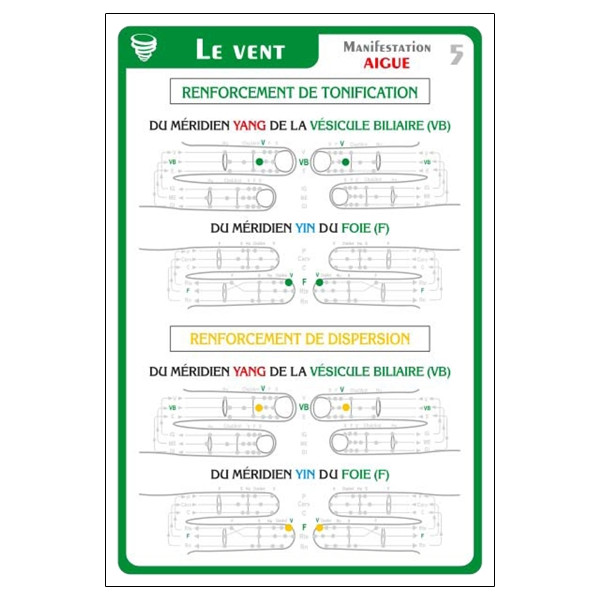 Méthode d'apprentissage du rééquilibrage énergétique par les méridiens Byols