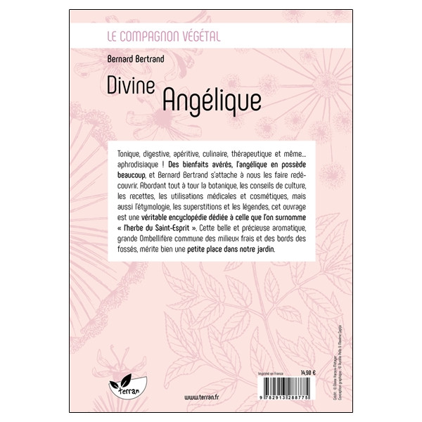 Divine Angélique