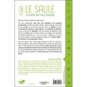 Le Saule - La plante aux mille pouvoirs