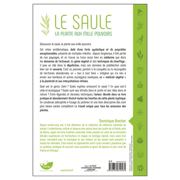 Le Saule - La plante aux mille pouvoirs