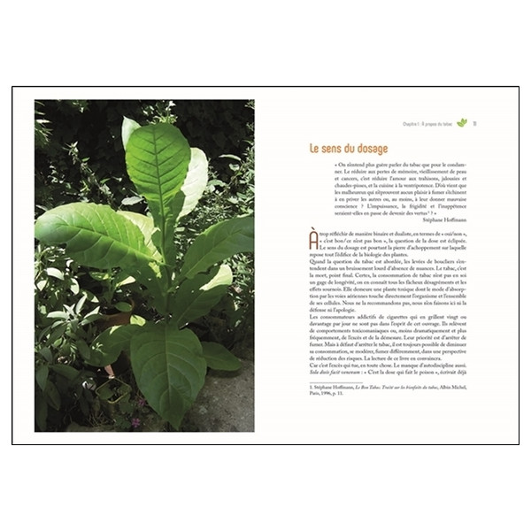 Cultiver son propre tabac - De la graine à la feuille séchée