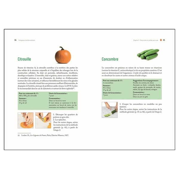 Prodigieuse lactofermentation - Produire facilement à la maison des aliments vivants