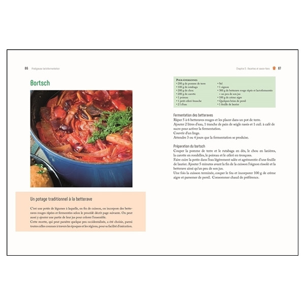 Prodigieuse lactofermentation - Produire facilement à la maison des aliments vivants