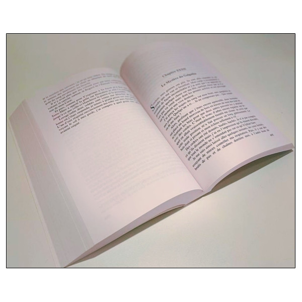 Le livre secret de Jeshua Tome 2 - La vie cachée de Jésus selon la Mémoire du Temps