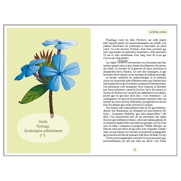 Les Fleurs de Bach - ABC