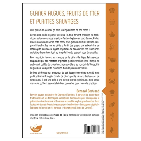 Glaner algues, fruits de mer et plantes sauvages - Balades gourmandes sur la côte