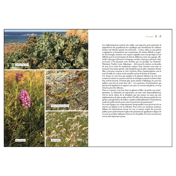 Glaner algues, fruits de mer et plantes sauvages - Balades gourmandes sur la côte