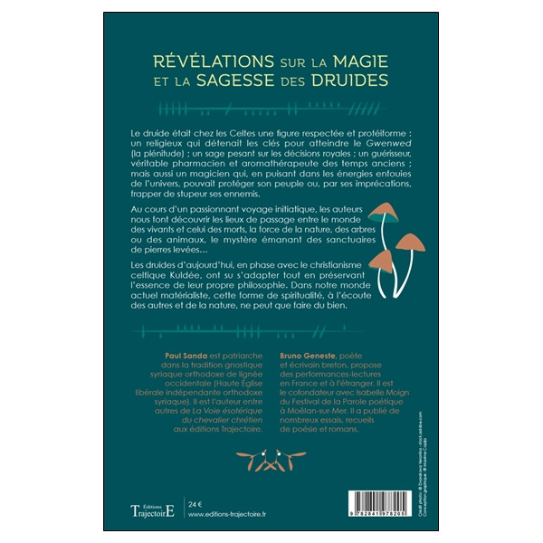 Révélations sur la magie et la sagesse des druides - Philosophie, spiritualité et pratiques des cultes chrétiens celtiques actue