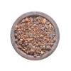 Encens résine en grains Benjoin du Siam 50 g