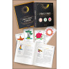 L'Oracle Spirite - Coffret - Le livre & le jeu original