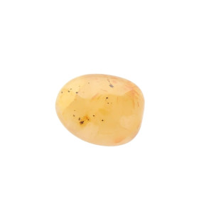 Pierre roulée Cornaline Taille L