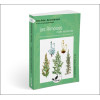 Les Armoises, mères des simples - Armoise commune, absinthe, génépis, aurone, estragon, armoise annuelle... Numéro 24