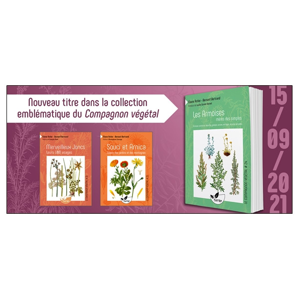 Les Armoises, mères des simples - Armoise commune, absinthe, génépis, aurone, estragon, armoise annuelle... Numéro 24