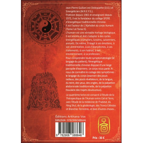 Alchimie des énergies dans la Tradition chinoise Tome 4
