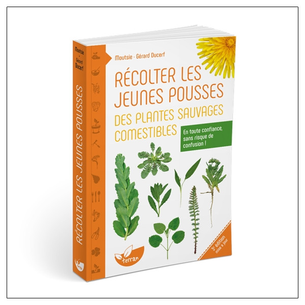 Récolter les jeunes pousses des plantes sauvages comestibles - En toute confiance, sans risque de confusion !