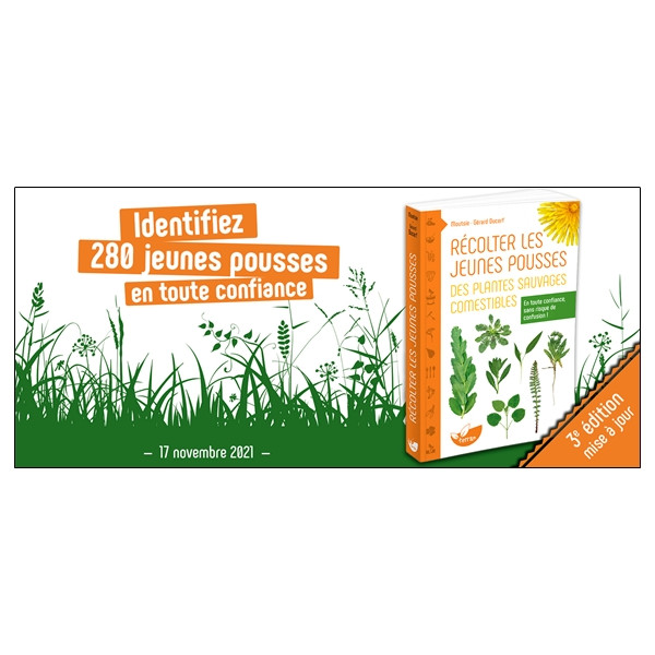 Récolter les jeunes pousses des plantes sauvages comestibles - En toute confiance, sans risque de confusion !