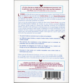 Rêver jusqu'au bout des ténèbres - Faites briller la lumière au coeur de l'ombre pour vivre la vie de vos rêves