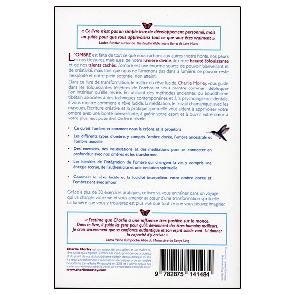 Rêver jusqu'au bout des ténèbres - Faites briller la lumière au coeur de l'ombre pour vivre la vie de vos rêves