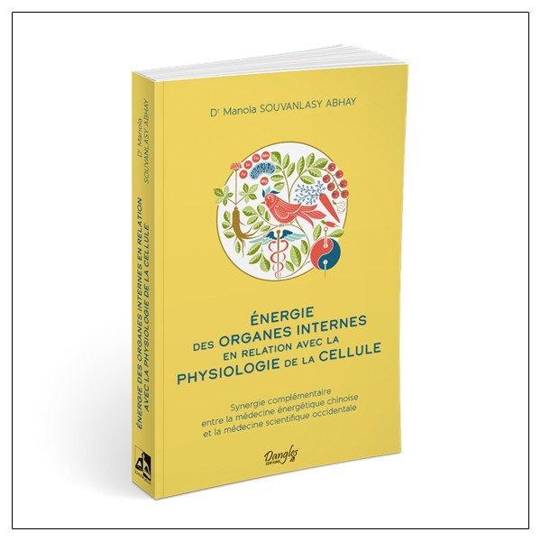 Energie des organes internes en relation avec la physiologie de la cellule